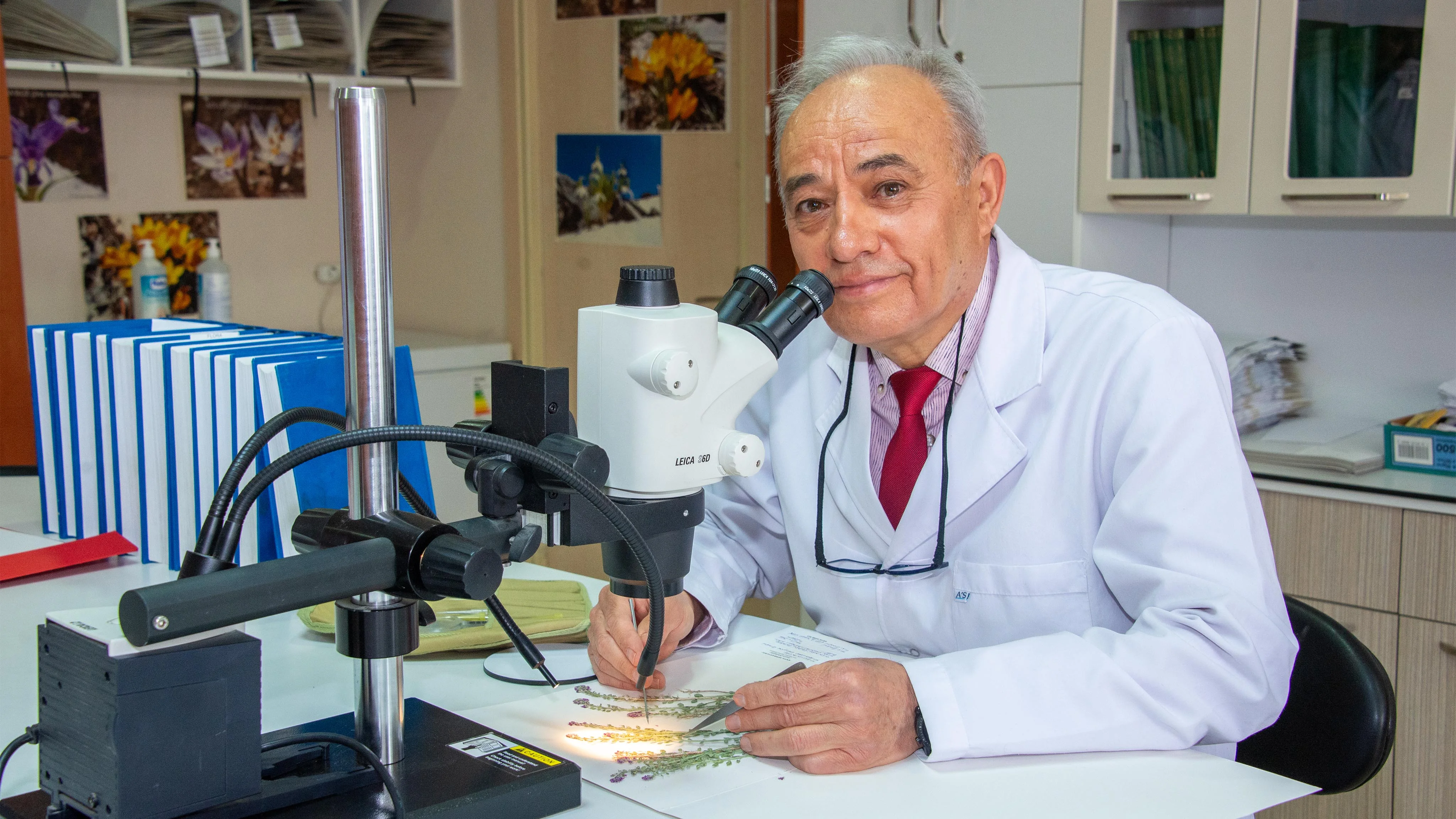 Selçuk Üniversitesi akademisyenleri 4 yeni bitki türü keşfetti